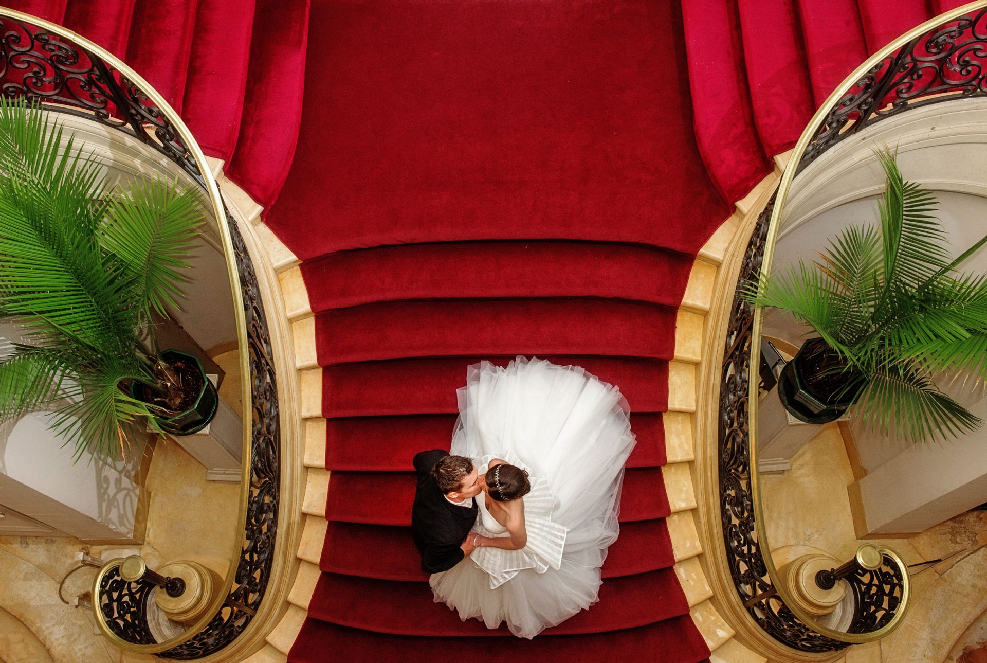 A couple in formal attire stands on a red-carpeted staircase, embraced and facing each other, viewed from above, with potted plants on either side.