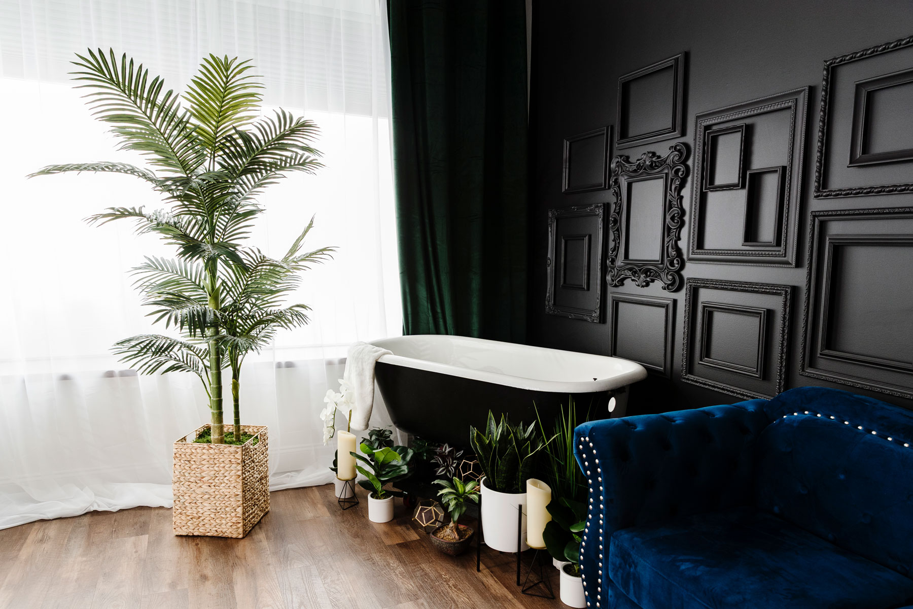 A modern bathroom with a black freestanding tub, a blue velvet sofa, potted plants, a large window, and empty decorative frames on a black wall.
