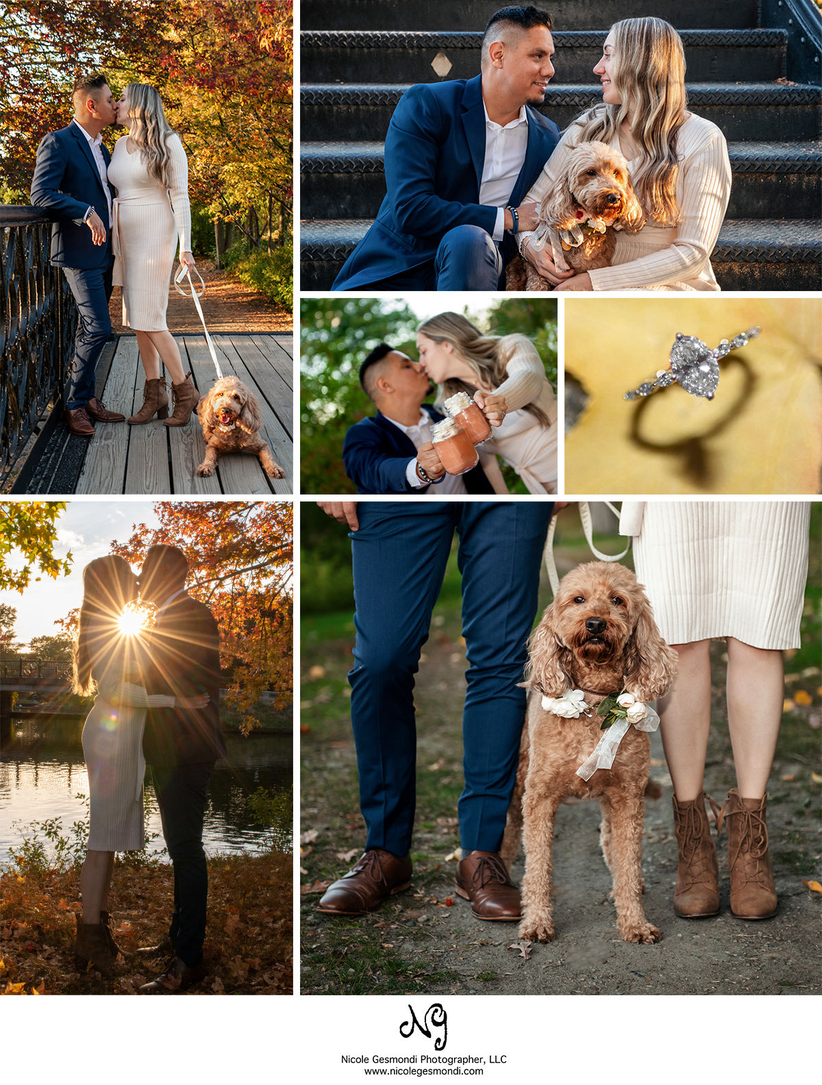 fall engagement photos with dog Rhode Island photographer