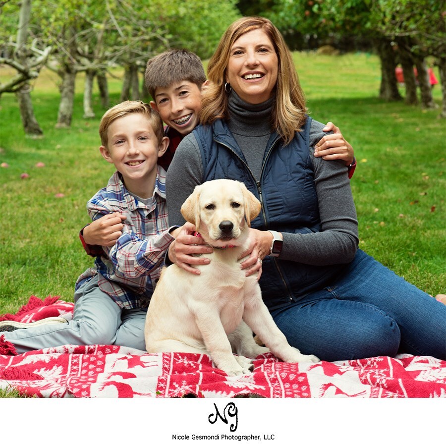 Holiday Photos with dogs