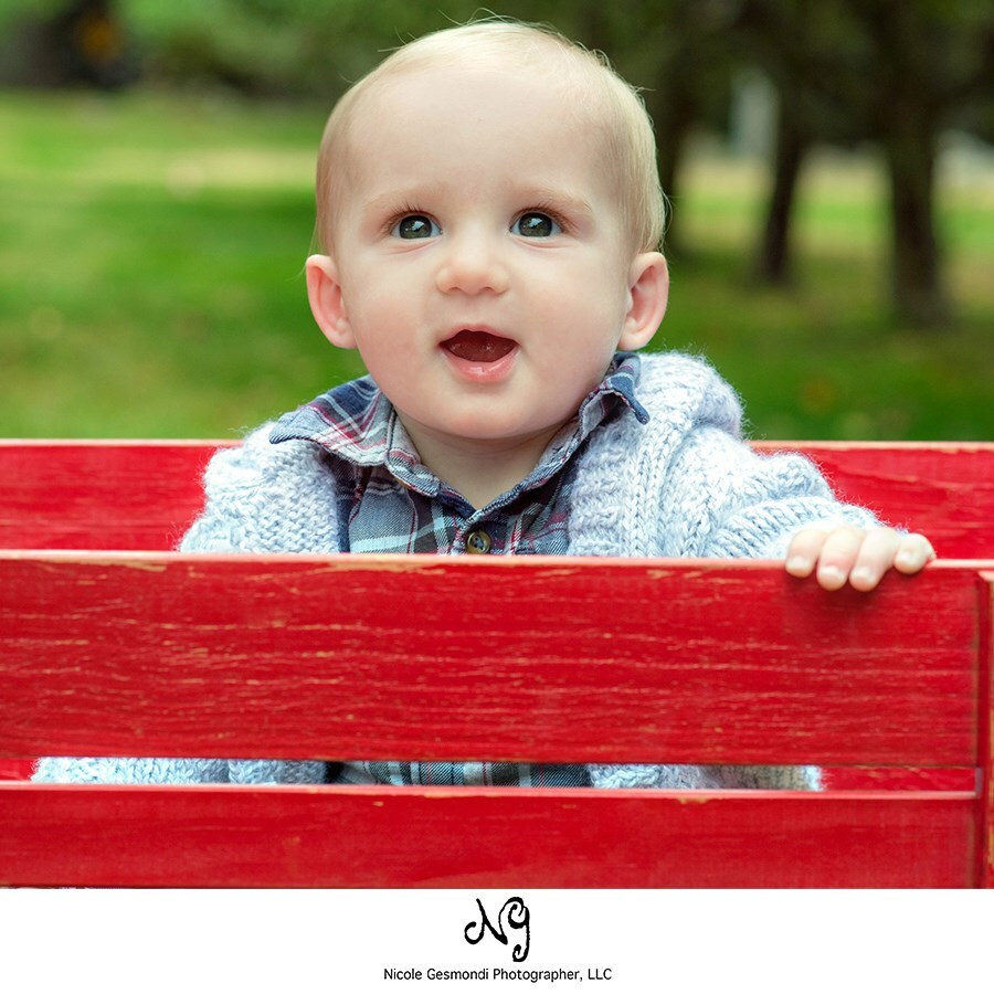fall family photos at apple orchard toddler boy sitting in a red Radio Flyer wagon