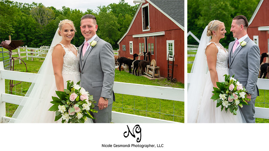 bride and groom five bridge inn wedding photos llamas