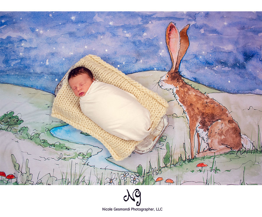 Peter Rabbit Themed Newborn Backdrop