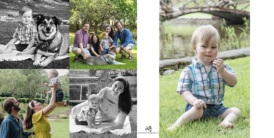 outdoor family portraits with toddler and dog