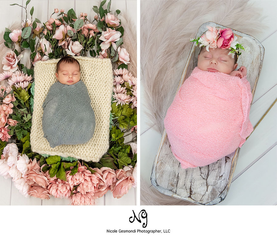 blush themed newborn photos