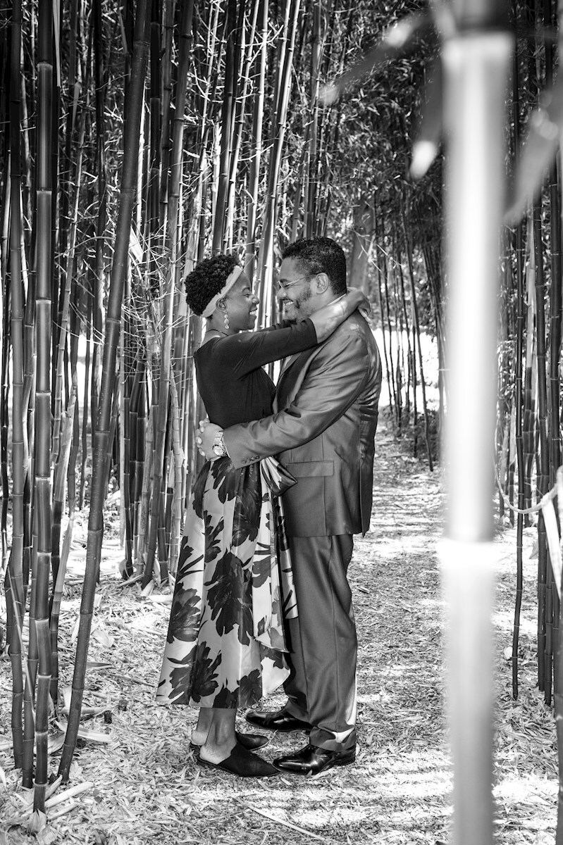 bamboo garden at blithewold mansion bamboo garden at blithewold mansion